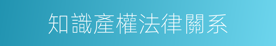 知識產權法律關系的同義詞