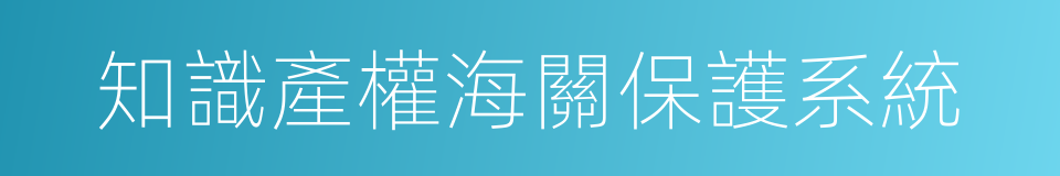 知識產權海關保護系統的同義詞