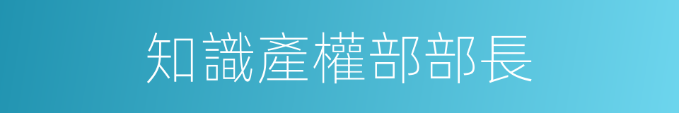 知識產權部部長的同義詞