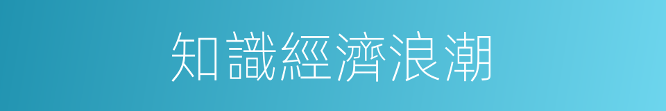 知識經濟浪潮的同義詞