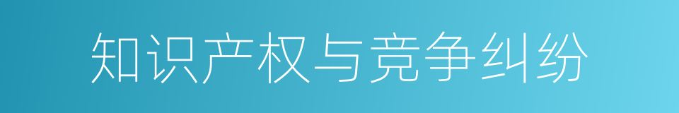 知识产权与竞争纠纷的同义词