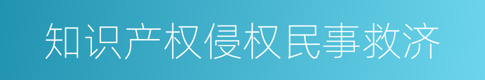 知识产权侵权民事救济的同义词