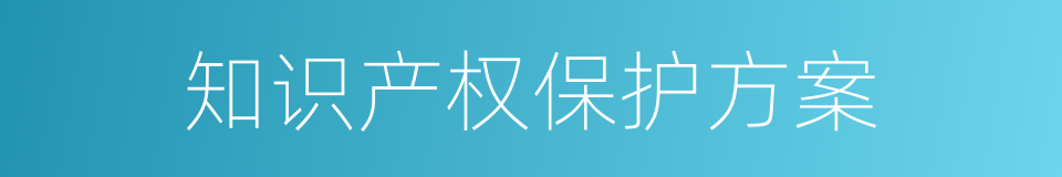知识产权保护方案的同义词