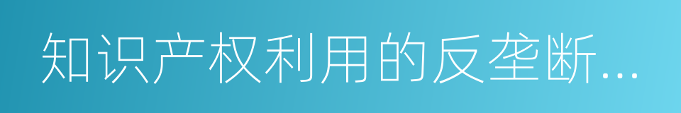 知识产权利用的反垄断法指南的同义词