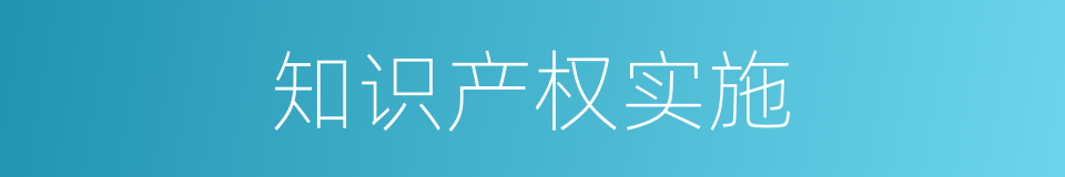 知识产权实施的同义词
