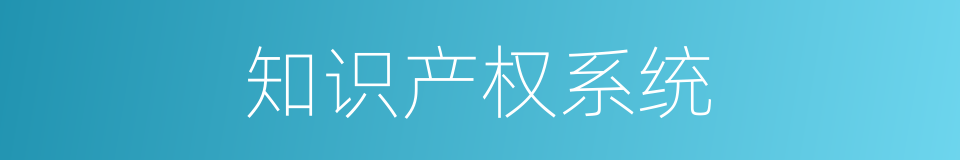知识产权系统的同义词
