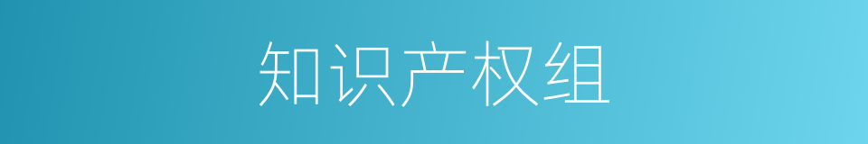 知识产权组的同义词