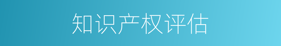 知识产权评估的同义词
