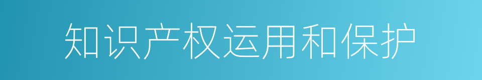 知识产权运用和保护的同义词