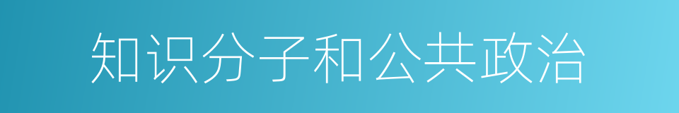 知识分子和公共政治的同义词