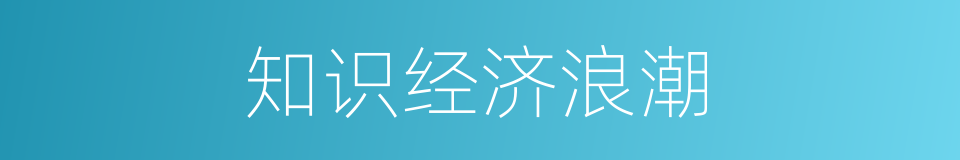 知识经济浪潮的同义词