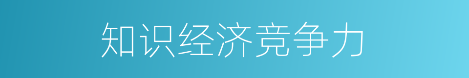 知识经济竞争力的同义词