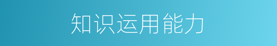 知识运用能力的同义词