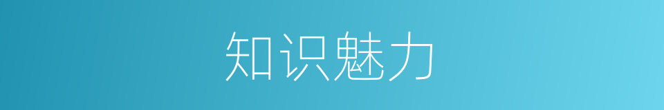 知识魅力的同义词