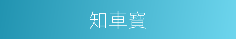 知車寶的同義詞