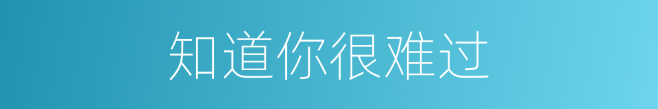 知道你很难过的同义词