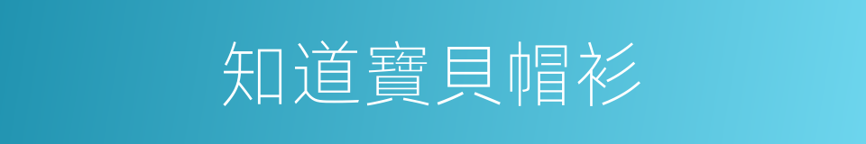 知道寶貝帽衫的同義詞