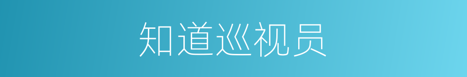 知道巡视员的同义词