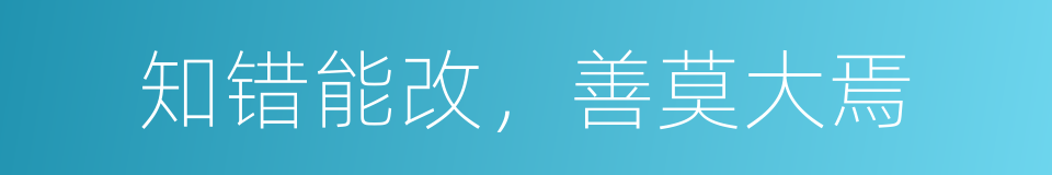 知错能改，善莫大焉的同义词