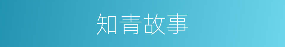 知青故事的同义词