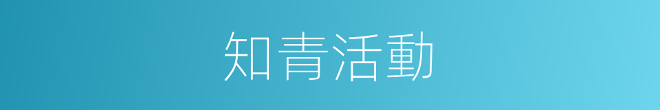 知青活動的同義詞