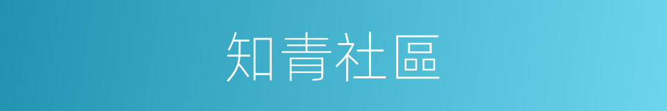 知青社區的同義詞