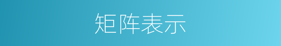 矩阵表示的同义词