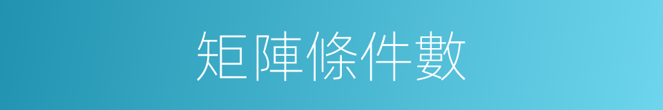 矩陣條件數的同義詞
