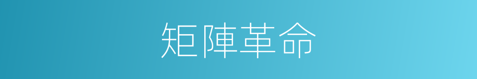 矩陣革命的同義詞