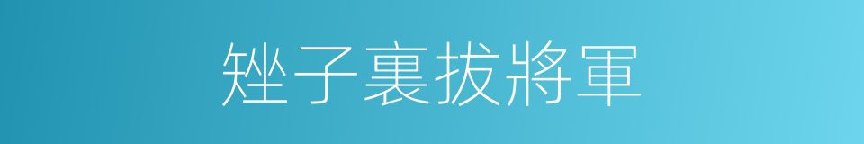 矬子裏拔將軍的同義詞