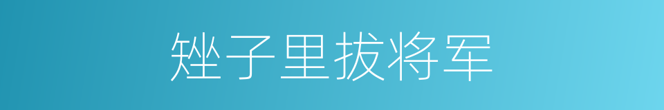 矬子里拔将军的同义词