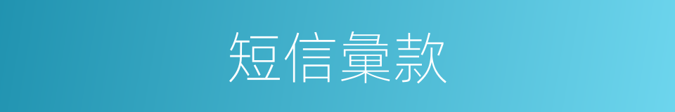 短信彙款的同義詞