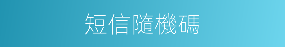 短信隨機碼的同義詞