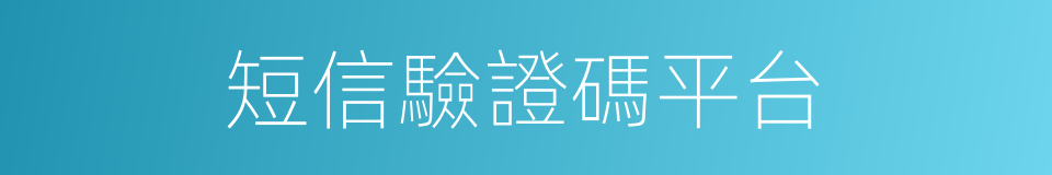 短信驗證碼平台的同義詞