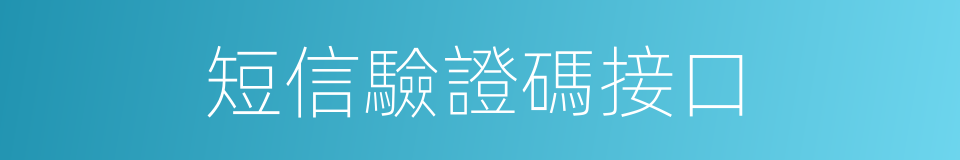 短信驗證碼接口的同義詞