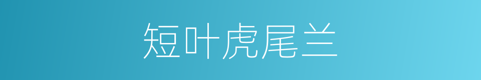 短叶虎尾兰的同义词