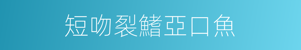 短吻裂鰭亞口魚的同義詞