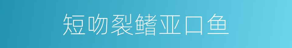 短吻裂鳍亚口鱼的同义词
