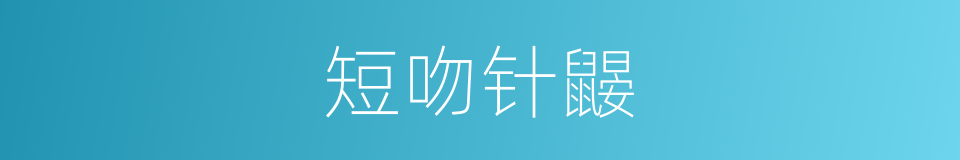 短吻针鼹的同义词