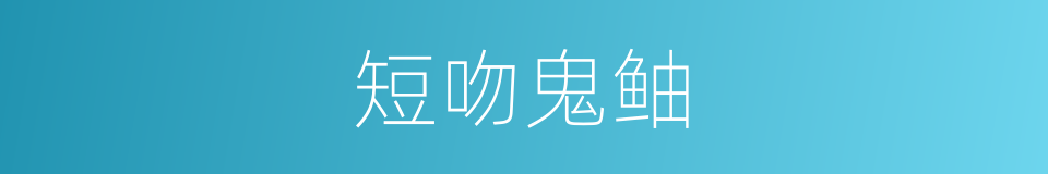 短吻鬼鲉的同义词