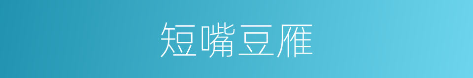 短嘴豆雁的同义词