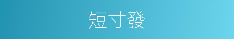 短寸發的同義詞