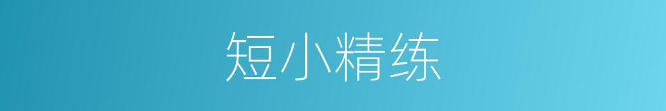 短小精练的同义词
