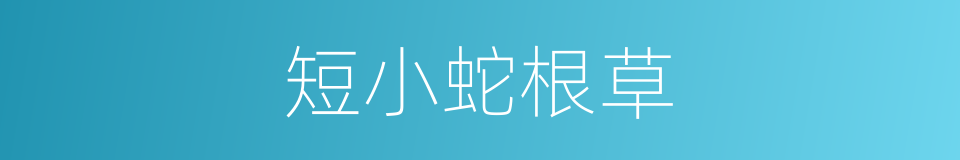 短小蛇根草的同义词
