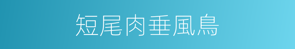 短尾肉垂風鳥的同義詞