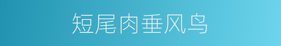短尾肉垂风鸟的同义词