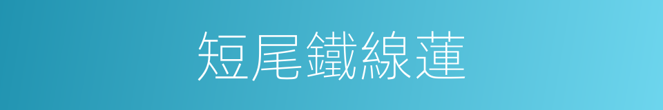 短尾鐵線蓮的同義詞