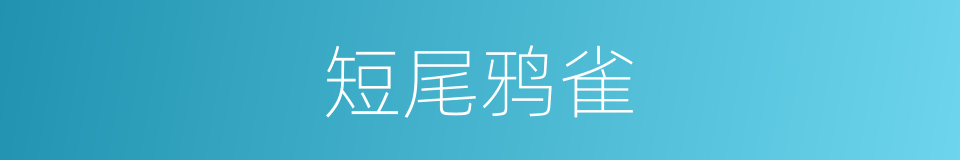 短尾鸦雀的同义词