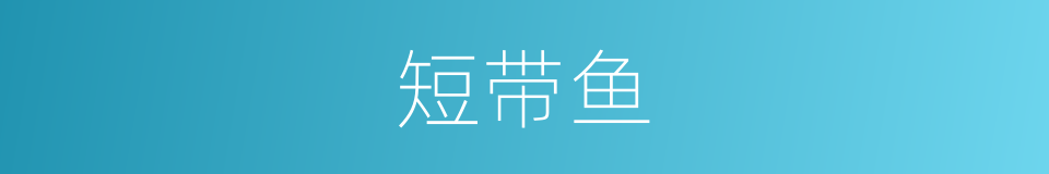 短带鱼的同义词