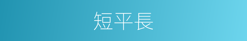 短平長的同義詞